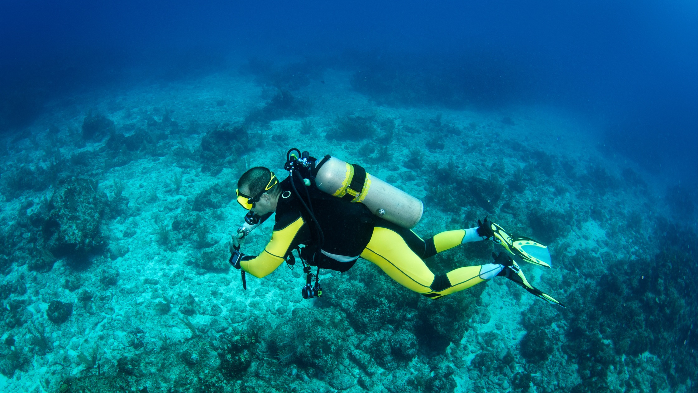 scuba diver in coral reef
