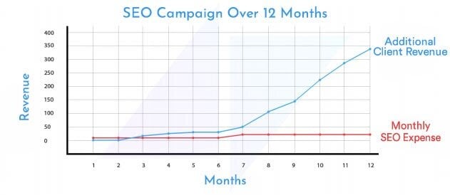 SEO campaign over 12 months showing revenue and monthly SEO expense